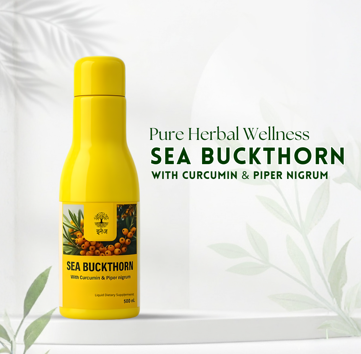 Sea Buckthorn