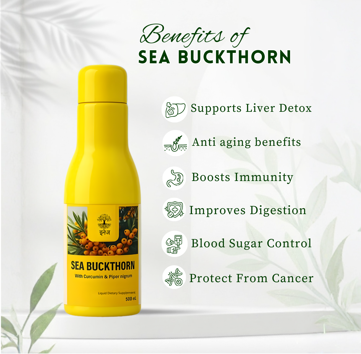 Sea Buckthorn