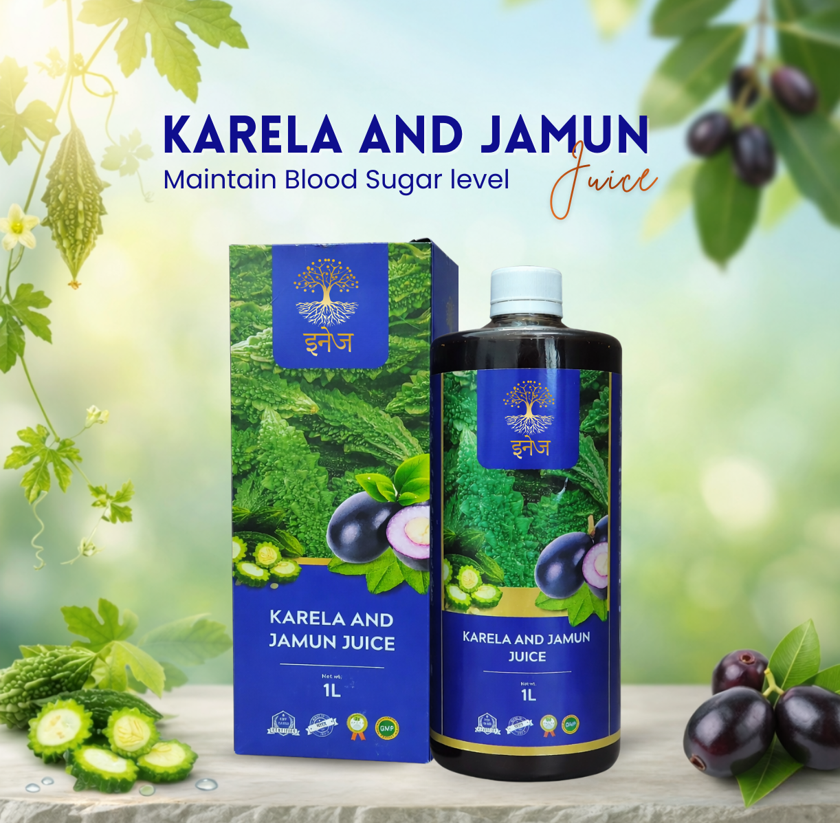 Karela And Jamun Juice