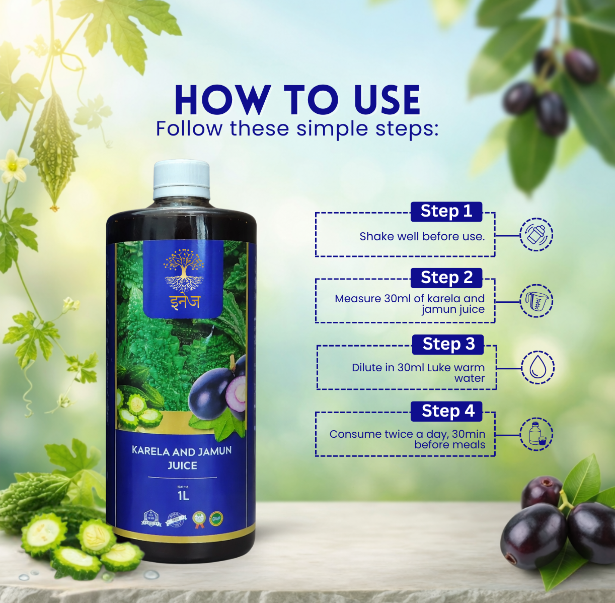 Karela And Jamun Juice