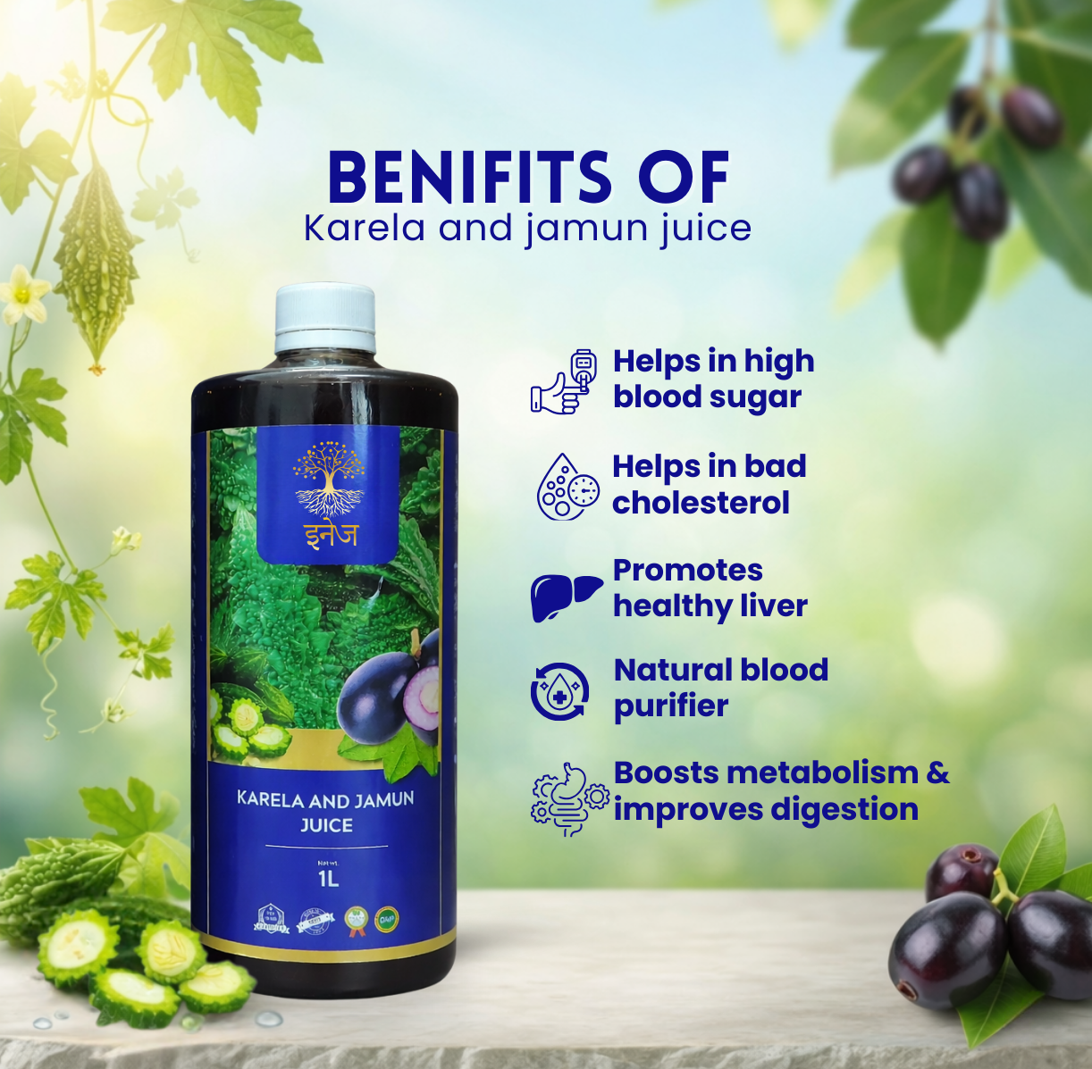 Karela And Jamun Juice