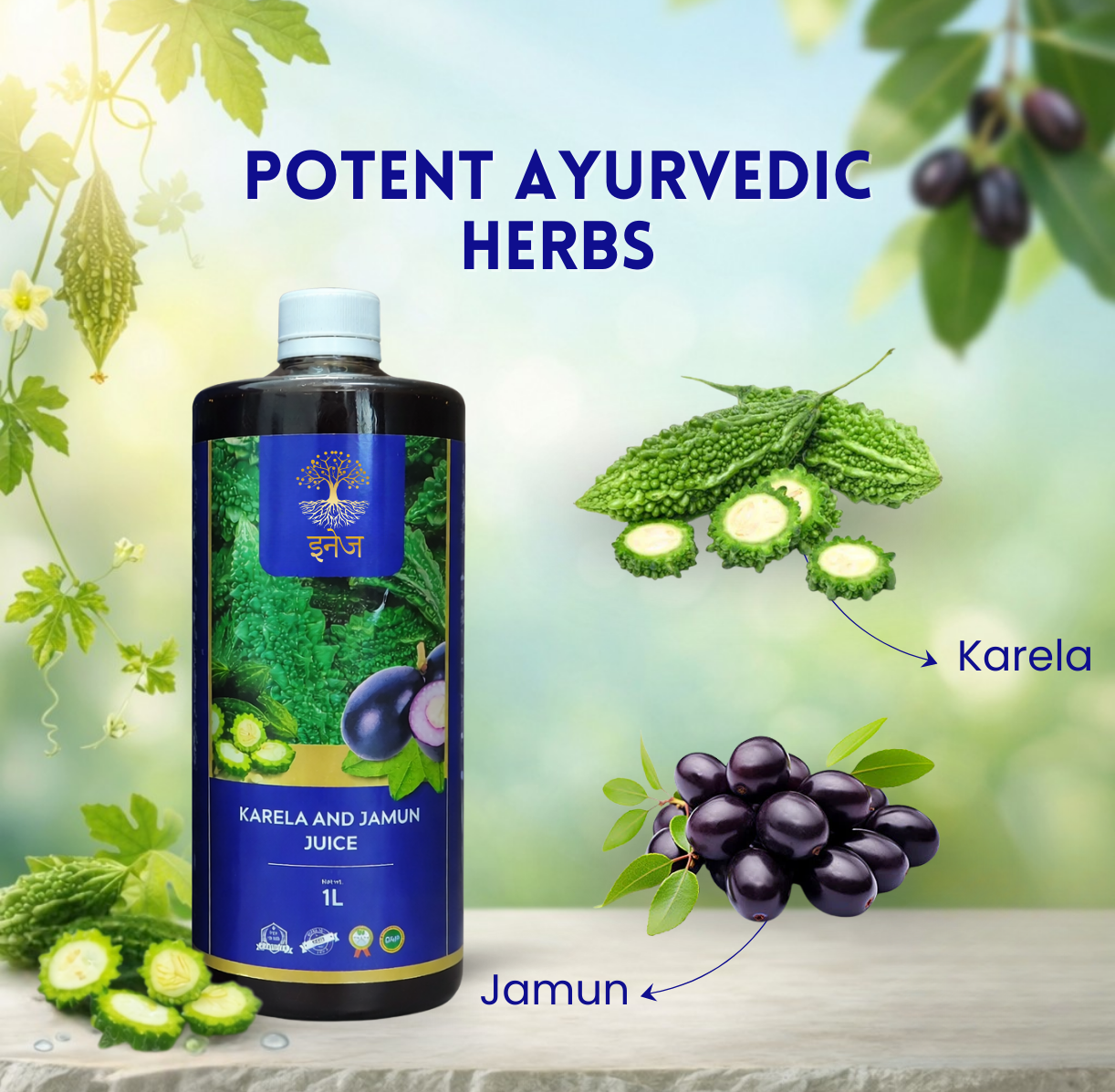 Karela And Jamun Juice