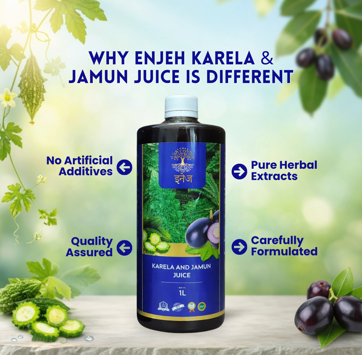 Karela And Jamun Juice