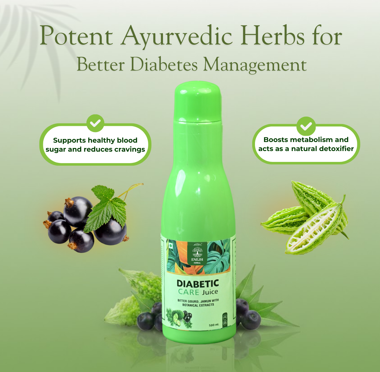 Diabetic Care Juice